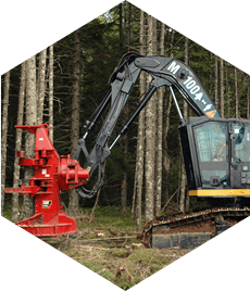 Timber harvesting