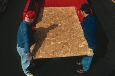 Forest Products