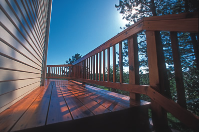 Forest Products