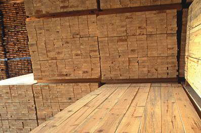 Forest Products